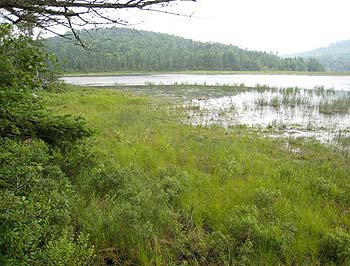 Mud Pond Passumpsic Valley Land Trust Vermont